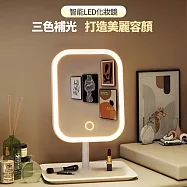 CS22 3段調光智能LED化妝鏡-1入