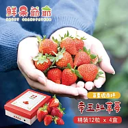 【鮮果爺爺】苗栗壢西坪精裝12粒帝王紅草莓禮盒x4盒(360g/盒_產銷履歷驗證) 下單7個工作天內出貨