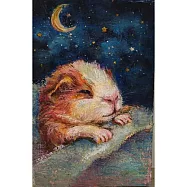 【玲廊滿藝】黑輪-甜夢星空30x20cm