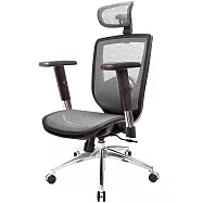 GXG 高背全網 電腦椅 (鋁腳/升降扶手) TW-81X6 LUA5