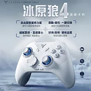 【Flydigi 飛智】冰原狼4 遊戲手把(國際版 支援Switch Steam 無線手把 電腦手把 卡比 薩爾達 魔物) 星環灰