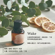KYARA aroma recolte aromabric 室內擴香石 Wake
