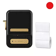 《精臣 NIIMBOT》B21S 黑色|台灣公司貨 ✦ 附白色貼紙|拾光標籤機 藍牙熱感應標籤機