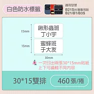 《精臣 NIIMBOT》精臣標籤貼紙 服裝吊牌價格食品收納條碼貼紙純白系列 30*15mm雙排