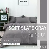 【AGAPE雅家倍】MIT台灣製 經典素色《頂級60支》100%純天絲 雙人5x6.2尺鋪棉兩用被床包四件組(花色任選) 板岩灰