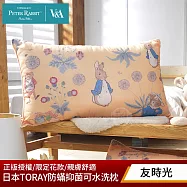 【PETER RABBIT 比得兔】比得兔與V&A博物館 日本TORAY防蹣抑菌可水洗枕-任選(2入/台灣製/抗菌枕/枕頭) 友時光