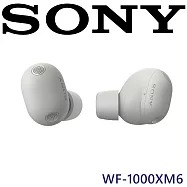SONY 索尼 WF-1000XM6 旗艦真無線藍牙耳機 索尼公司貨保固12+6個月 鉑金銀