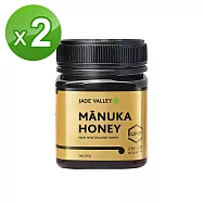 【紐西蘭 Jade Valley】麥蘆卡蜂蜜 UMF 20+ (250g) 2入組