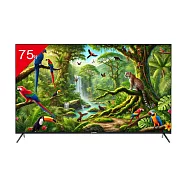 TATUNG大同 75型 4K 智慧顯示器 /台 UH-75UG900A