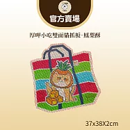 【TNA 悠遊】厚呷小吃雙面貓抓板 鳳梨酥