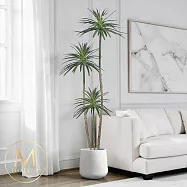 【Floral M】辦公室必備事業有成龍樹1.8公尺室內大型仿真植栽(贈送花盆)