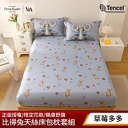 【PETER RABBIT 比得兔】 比得兔與V&A博物館 單人40支天絲床包枕套組(多款任選/正版授權/天絲/二件組) 草莓多多