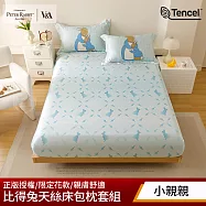 【PETER RABBIT 比得兔】比得兔與V&A博物館 加大40支天絲床包枕套組(多款任選/正版授權/天絲/三件組) 小親親