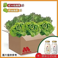 【MOS摩斯漢堡】安心農場水耕蔬菜箱((奶油波士頓萵苣(180g)x3+紅火焰萵苣(150g)x3+摩斯豆奶6瓶(無糖))