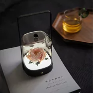 綻放香薰燈-傾城.芍藥