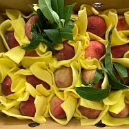 【喜樂拉拉山】一口水蜜桃禮盒X3盒(13-20粒/1.2kg/盒) 5/13-5/19出貨