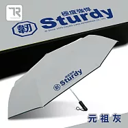 【TDN】極度強悍降溫自動開收傘-超大自動傘黑膠抗UV晴雨傘B6696 元祖灰