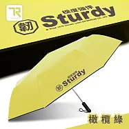 【TDN】極度強悍降溫自動開收傘-超大自動傘黑膠抗UV晴雨傘B6696 橄欖綠