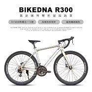 BIKEDNA R300 鋁合金彎把甩把公路車搭載日本SHIMANO,煞變合一 14速線控碟剎前後快拆培林大盤 競速碟煞彎把破風跑車- 鈦色