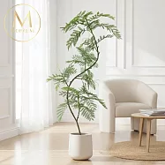 【Floral M】北歐居家森林系藍花楹1.8公尺室內大型仿真植栽(贈送花盆)