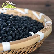 預購【小農夫】台南3號-國產青仁黑豆5包組(500g/包)