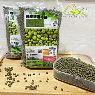 預購【小農夫】台南5號-國產粉綠豆5包組(500g/包)