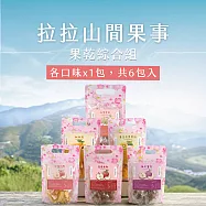 【拉拉山間果事】拉拉山果乾綜合組x6包(水蜜桃+枇杷+桃寶寶+蜜李+奇異果+蜜蘋果)