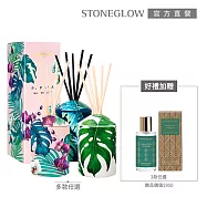 【STONEGLOW】南島渡假香氣擴香優惠組 #花語果香+節慶祝福