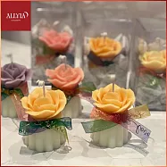 (電子票) 台北大同【艾莉婭手作療癒美學】盆栽蠟燭手作課程券《植物系香氛》(MO)【受託代銷】