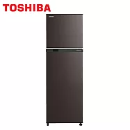 TOSHIBA東芝262公升變頻雙門冰箱GR-B31TP(SK)