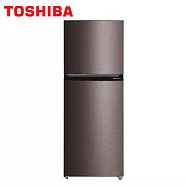 TOSHIBA東芝312公升變頻雙門冰箱GR-RT416WE-PMT(37)