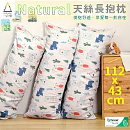 【三合苑】100%純天絲長抱枕 日本JIS抗菌 可水洗 台灣製 43x112cm 交換禮物 天絲抱枕 無 熊熊部落