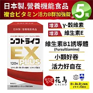 【花鳥KACHO】活力舒錠(120錠X5盒) 活力B群 EX PLUS加強錠 小顆 維生素B群 &gamma;穀維素 維生素E 強效B