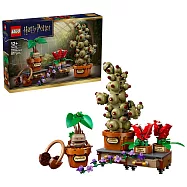 樂高LEGO 哈利波特系列 - 76474 霍格華茲 藥草學植物