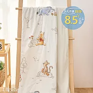 (超值組合)義大利La Belle《Disney-維尼森林漫遊》ICECOOL眠綿冰蠶絲蛋白抗菌兒童涼感涼被(100*120cm)+舒柔水洗枕