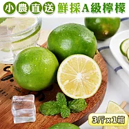 【禾鴻】屏東小農直送 鮮採綠檸檬A級3斤x1箱 下單7個工作天內出貨