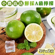 【禾鴻】屏東小農直送 鮮採綠檸檬A級5斤x2箱 下單7個工作天內出貨