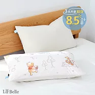 (超值組合)義大利La Belle《Disney-維尼森林漫遊》ICECOOL眠綿冰涼感信封枕套--2入+大容量洗衣袋