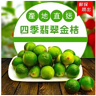 預購【小農夫】台南鮮採國產四季翡翠金桔3盒(600g/盒)