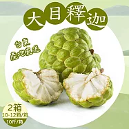 【禾鴻】台東優質大目釋迦 中果10斤x2箱(10-12顆/箱) 下單7個工作天出貨