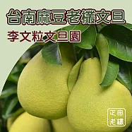 【台南李文粒果園】頂級麻豆文旦6kg(12-14入/箱) 產地直送/中秋/柚子/禮盒 9/9-9/15出貨