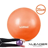 【Leader X】迷你多功能健身瑜珈球 韻律球 抗力球(25cm 橙色)