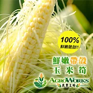 【蔬果工場】 鮮嫩脆甜帶殼玉米筍(6斤)