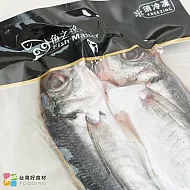 【台灣好食材】-魚之達人竹莢魚一夜干禮盒(8入)