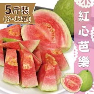 【家購網嚴選】屏東高樹特產 精選紅心芭樂5斤裝/盒 (8~12顆)