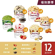 【Haagen-Dazs 哈根達斯】 極致醇厚迷你杯100ml 12入