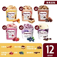 【Haagen-Dazs 哈根達斯】歐風甜點系列迷你杯12入組100ml