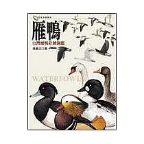 雁鴨