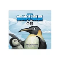 極地小家庭—企鵝