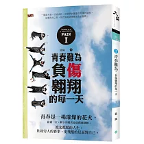 青春難為：負傷翱翔的每一天